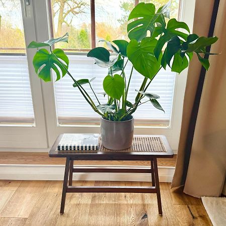 Happy Place Mit Sonnen-Balkon Und Stellplatz Nur 400 M Zum Strand Scharbeutz Exterior foto